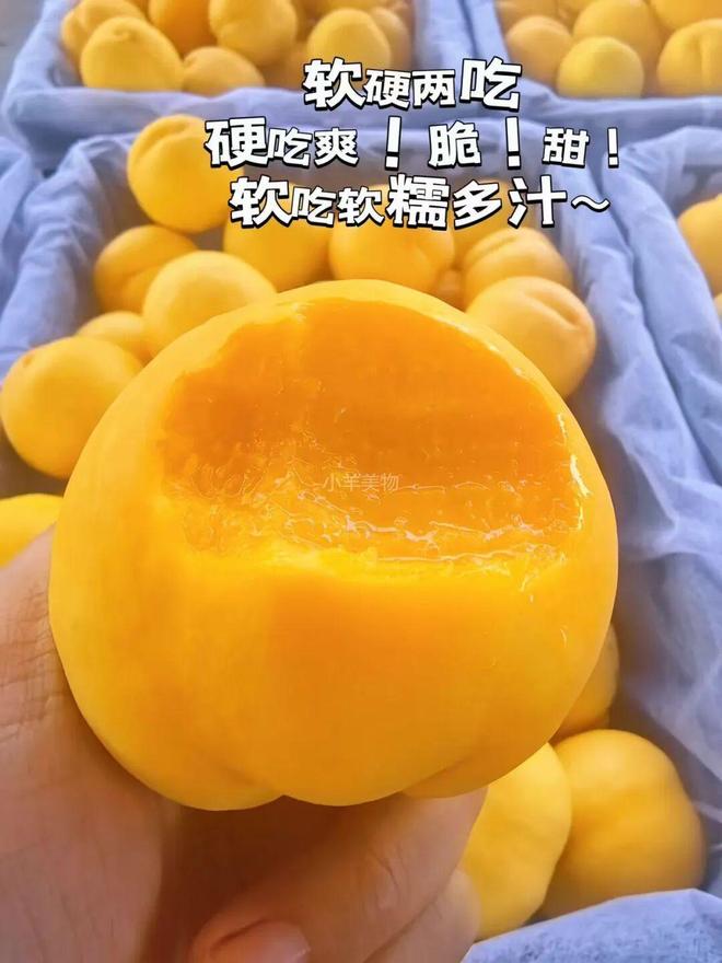金女”一边缺钱一边赚开元棋牌“香港头号拜(图8)